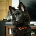 Stuart Ferguson - @fergusonstuart - Instagram