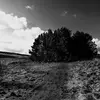 Stuart Ferguson - @stuart.ferguson2 - TikTok