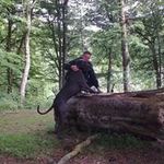 Stuart Ferguson - @stuart.ferguson.779 - Instagram