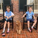 @stuart_ferrell - Instagram