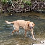 Stuart - @stuart_ferrell7 - Instagram