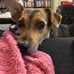 Stuart Fink - Facebook