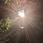 Stuart Finlay - @finlay190578 - Instagram
