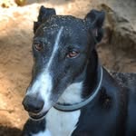 Stuart Finley - @stuart.finley - Instagram