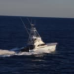 Stuart Fish - @triplehsportfishing - Instagram