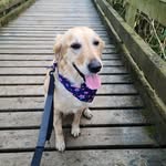 Stuart Fleming - @stuart.fleming.7 - Instagram