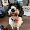 Stuart Fleming - @stuart.fleming - TikTok