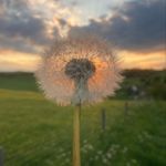 Stuart Forrest - @jrsforrest - Instagram