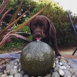 Stuart Fuller - @marlings2483 - Instagram