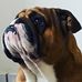 Stuart Giles - Facebook