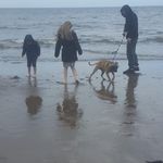 Stuart Gough - @stuart.gough.39 - Instagram