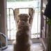 Stuart Gough - Facebook