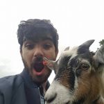 Stuart Griffin - @notfamilyguy - Instagram