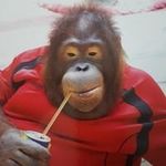 Stuart Guy Blowers - @bloodcow - Instagram