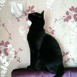 Stuart Hampton - @stuart.hampton - Instagram
