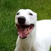 Stuart Healey - @stuart.healey - TikTok