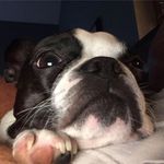 Stuart Henry - @stuart.henry.313 - Instagram