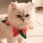 Stuart, Henry, MaryJane - @stuartandmaryjane - Instagram