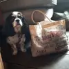 henrystuartherbert64 - @henrystuartherber - TikTok