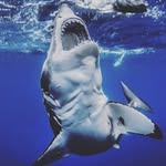 Stuart Holcomb - @el_stuardo - Instagram