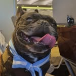 Homero Stuart Drège - @homerostuart - Instagram
