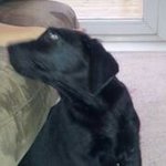 Stuart Humphreys - @humph1967 - Instagram