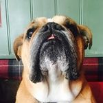 Stuart Hunter - @stuarttruant - Instagram