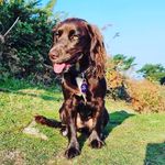 Stuart Johns - @miss_harper_j - Instagram