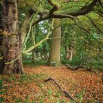 Stuart Jones - @stuartjonesfam - Instagram