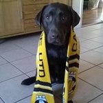 Stuart Judd - @juddstuart - Instagram