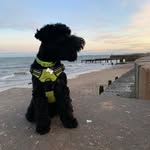 Stuart Keen - @stuartlittleblack - Instagram