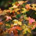 Stuart Keith - Facebook