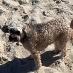 Stuart Kemp - @stuartkemp38 - Instagram