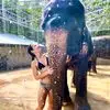 Kendall Stuart - @kendall.stuart4 - TikTok