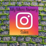Stuart Kendall - @my_micro_nursery_sales - Instagram