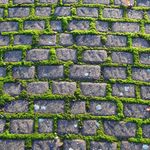 Stuart Kendall - @my_micro_nursery - Instagram