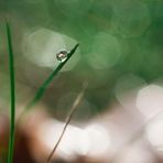 Stuart Key - Facebook