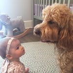 Stuart Koch - @stukoch - Instagram