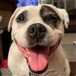 Stuart MacDonald Lang - @stuart.lang.792 - Instagram