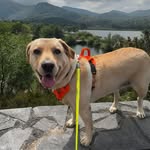 Stuart Langley - @skistu - Instagram