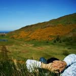 Stuart Langley - @langley.stuart - Instagram