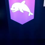 zach stuart langley - @zachylangley - Instagram