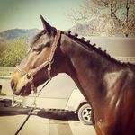 sl - @stuart_latimer - Instagram