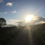 Stuart Latimer - @stuglat - Instagram