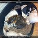 Stuart Lorimer - Facebook