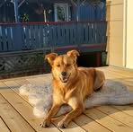 Stuart Lowe - Facebook