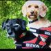 Stuart Lyall - Facebook