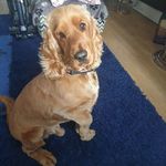 Stuart Lyons - @stuart.lyons69 - Instagram
