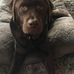 Stuart MacAulay - Facebook