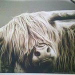 Stuart MacLeod - @stuart.macleod.7568 - Instagram